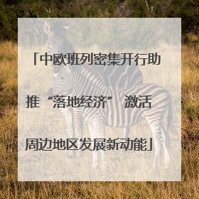 中欧班列密集开行助推“落地经济” 激活周边地区发展新动能
