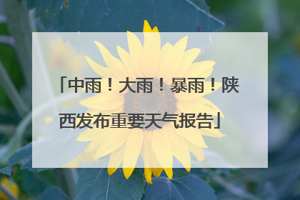 中雨！大雨！暴雨！陕西发布重要天气报告