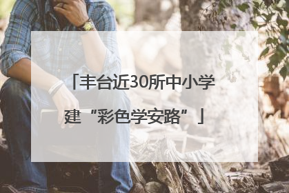 丰台近30所中小学建“彩色学安路”