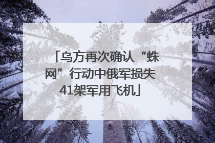乌方再次确认“蛛网”行动中俄军损失41架军用飞机