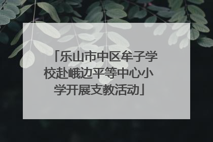 乐山市中区牟子学校赴峨边平等中心小学开展支教活动