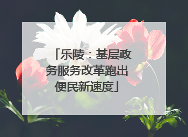 乐陵：基层政务服务改革跑出便民新速度