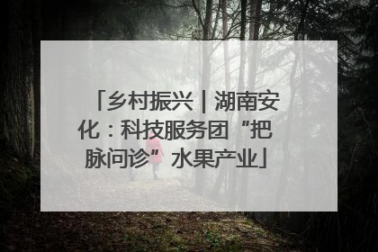 乡村振兴｜湖南安化：科技服务团“把脉问诊”水果产业