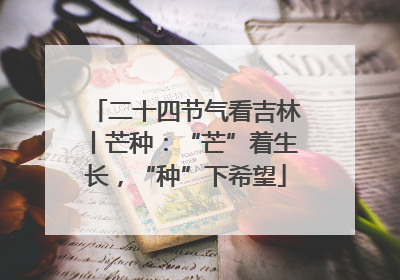二十四节气看吉林丨芒种：“芒”着生长，“种”下希望