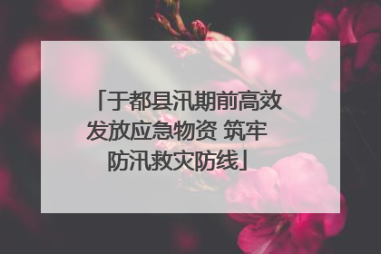 于都县汛期前高效发放应急物资 筑牢防汛救灾防线