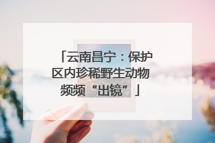 云南昌宁:保护区内珍稀野生动物频频“出镜”