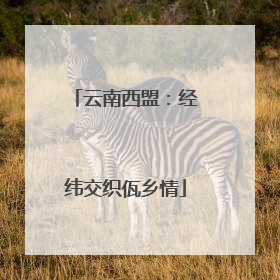 云南西盟：经纬交织佤乡情