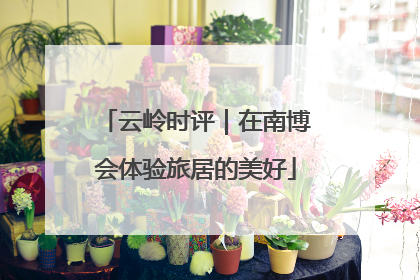 云岭时评｜在南博会体验旅居的美好