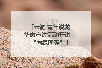 云洞·青年说龙华微宣讲活动开讲“向绿图强”