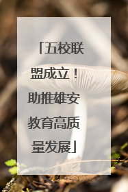 五校联盟成立！助推雄安教育高质量发展