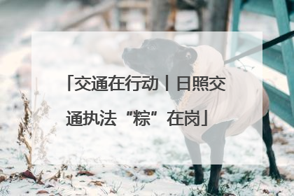 交通在行动丨日照交通执法“粽”在岗