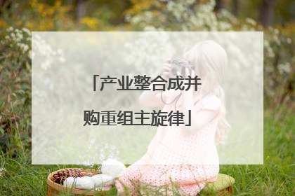 产业整合成并购重组主旋律