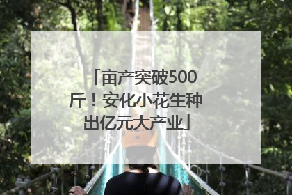 亩产突破500斤！安化小花生种出亿元大产业