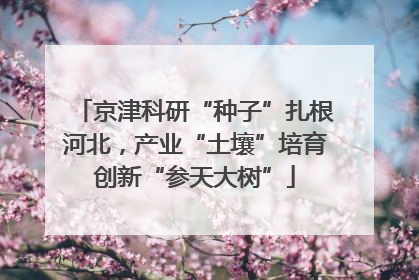 京津科研“种子”扎根河北，产业“土壤”培育创新“参天大树”