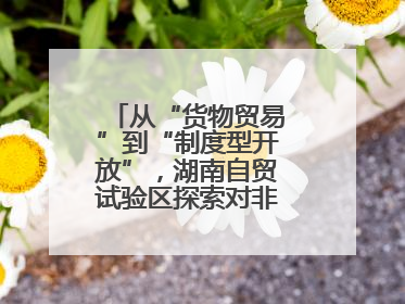 从“货物贸易”到“制度型开放”，湖南自贸试验区探索对非合作新模式