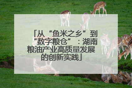 从“鱼米之乡”到“数字粮仓”：湖南粮油产业高质量发展的创新实践