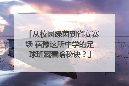 从校园绿茵到省赛赛场 宿豫这所中学的足球班藏着啥秘诀？
