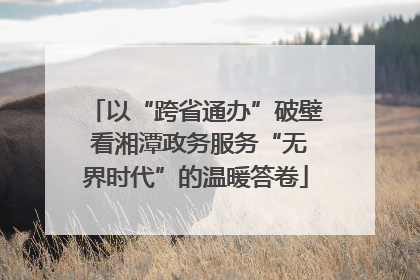 以“跨省通办”破壁 看湘潭政务服务“无界时代”的温暖答卷