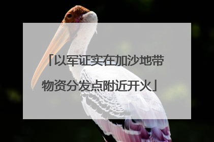 以军证实在加沙地带物资分发点附近开火