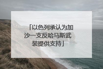 以色列承认为加沙一支反哈马斯武装提供支持