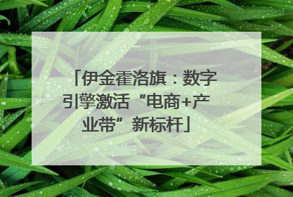 伊金霍洛旗：数字引擎激活“电商+产业带”新标杆