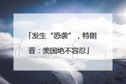 发生“恐袭”，特朗普：美国绝不容忍