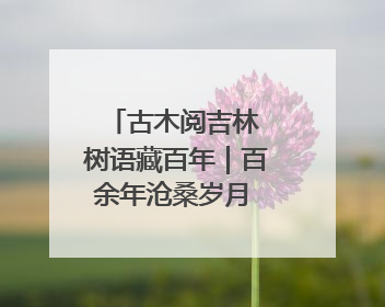 古木阅吉林 树语藏百年｜百余年沧桑岁月 如今它成为了“镇园之宝”