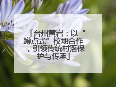 台州黄岩：以“蹲点式”校地合作，引领传统村落保护与传承