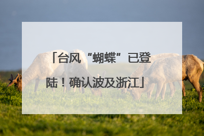 台风“蝴蝶”已登陆！确认波及浙江