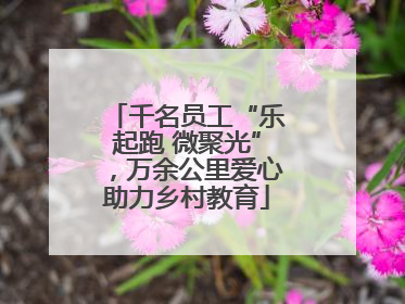 千名员工“乐起跑 微聚光”，万余公里爱心助力乡村教育