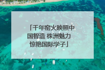 千年窑火映照中国智造 株洲魅力惊艳国际学子