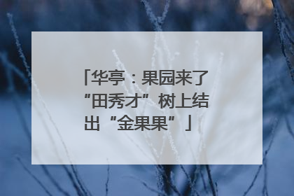 华亭：果园来了“田秀才”树上结出“金果果”