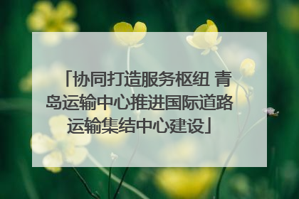 协同打造服务枢纽 青岛运输中心推进国际道路运输集结中心建设