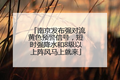 南京发布强对流黄色预警信号，短时强降水和8级以上阵风马上就来