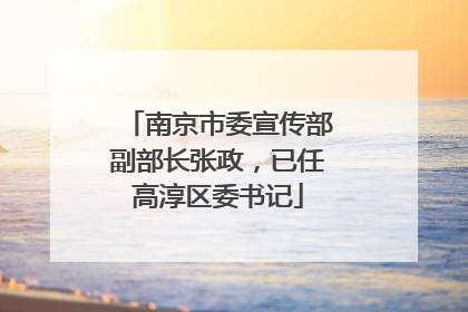 南京市委宣传部副部长张政，已任高淳区委书记
