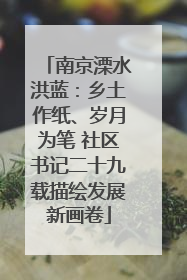 南京溧水洪蓝：乡土作纸、岁月为笔 社区书记二十九载描绘发展新画卷