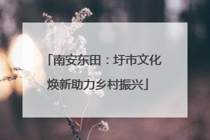 南安东田：圩市文化焕新助力乡村振兴