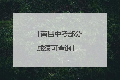 南昌中考部分成绩可查询