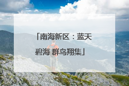 南海新区：蓝天碧海 群鸟翔集