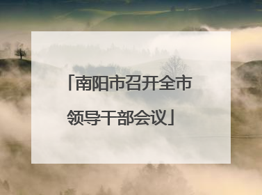 南阳市召开全市领导干部会议