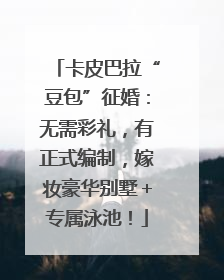 卡皮巴拉“豆包”征婚：无需彩礼，有正式编制，嫁妆豪华别墅＋专属泳池！