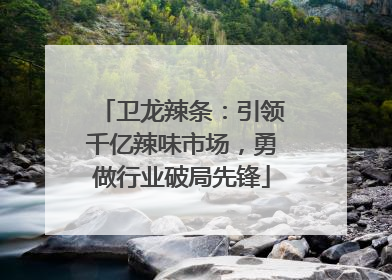 卫龙辣条：引领千亿辣味市场，勇做行业破局先锋