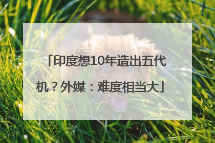 印度想10年造出五代机？外媒：难度相当大