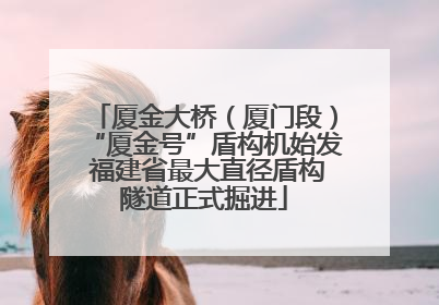 厦金大桥（厦门段）“厦金号”盾构机始发 福建省最大直径盾构隧道正式掘进