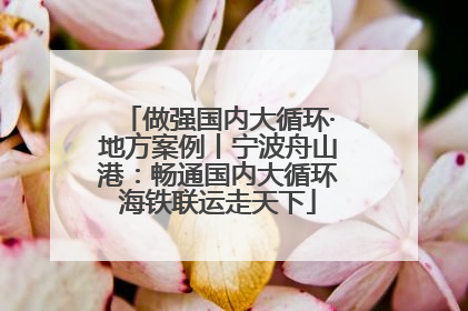 做强国内大循环·地方案例丨宁波舟山港：畅通国内大循环海铁联运走天下