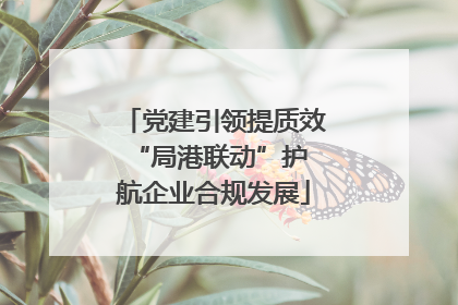 党建引领提质效 “局港联动”护航企业合规发展