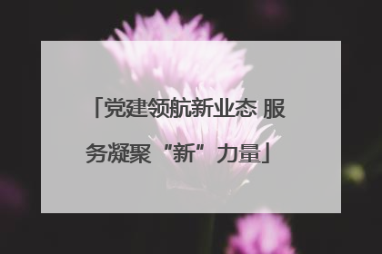 党建领航新业态 服务凝聚“新”力量