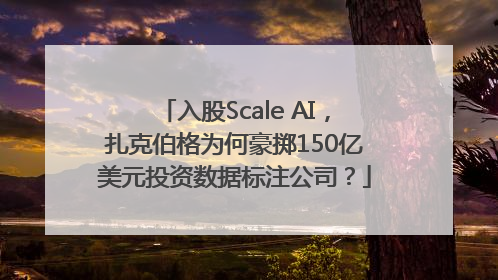 入股Scale AI，扎克伯格为何豪掷150亿美元投资数据标注公司？