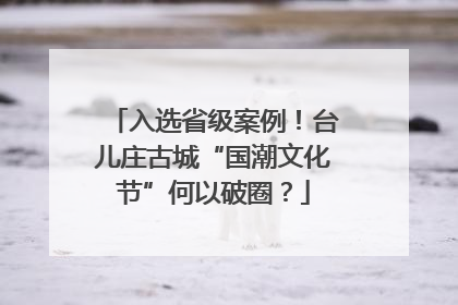 入选省级案例！台儿庄古城“国潮文化节”何以破圈？