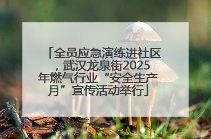 全员应急演练进社区，武汉龙泉街2025年燃气行业“安全生产月”宣传活动举行